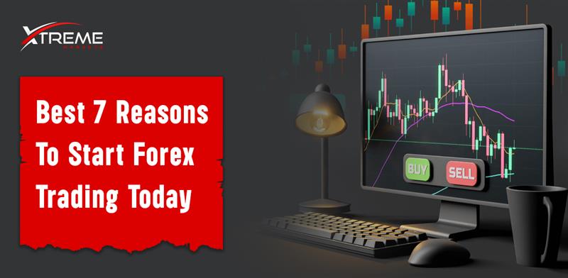 Best 7 Reasons To Start Forex Trading Today